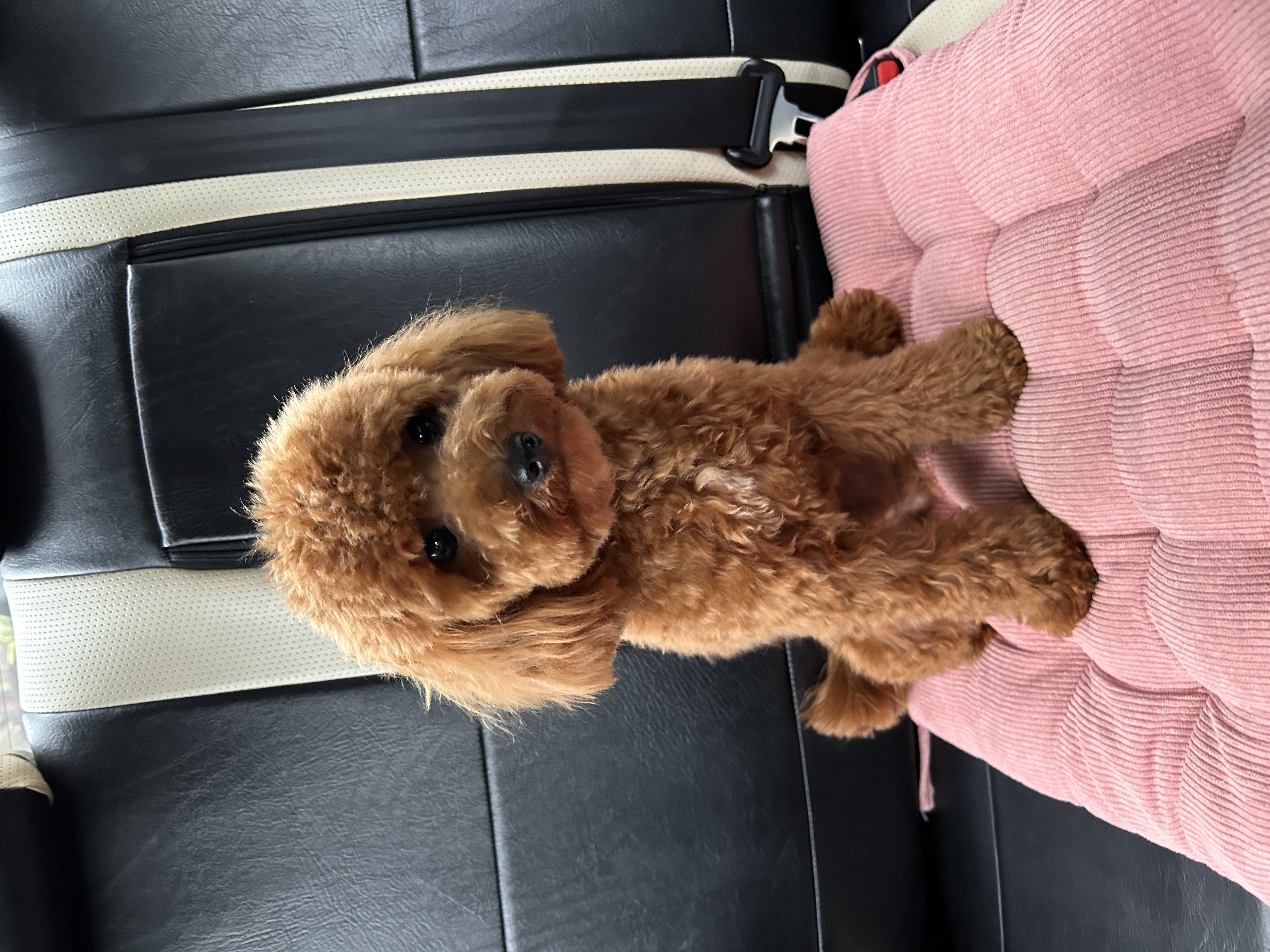 Max photo 15